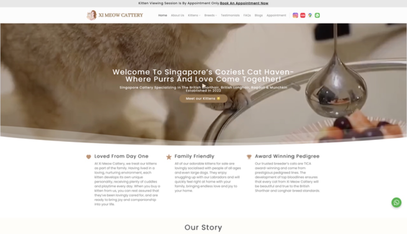 Xi Meow website