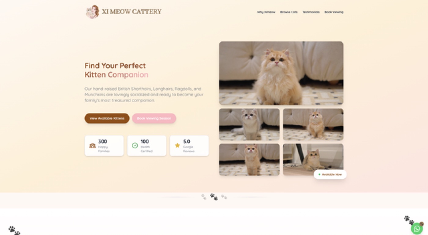 Xi Meow website